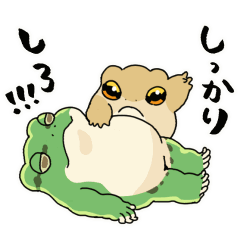 [LINEスタンプ] カエル動くスタンプ詰め合わせ