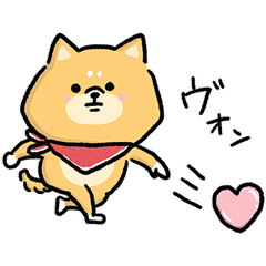 [LINEスタンプ] 無難すぎて使えすぎる柴犬の毎日スタンプ