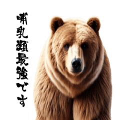 [LINEスタンプ] リアルなヒグマ【ヒグマ編】