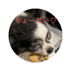 [LINEスタンプ] チロル16さい！