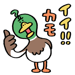 [LINEスタンプ] はっきりしないカモ