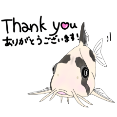 [LINEスタンプ] 【毎日使える】アクアリストの日常スタンプ