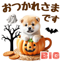 [LINEスタンプ] 【BIG】まめしばハロウィン