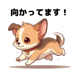[LINEスタンプ] ワンコと一緒の毎日