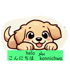 [LINEスタンプ] ウルドゥー語と日本語اردوjapan