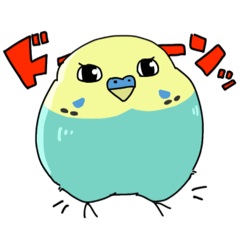 [LINEスタンプ] セキセイインコのまめちゃんスタンプ