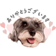 [LINEスタンプ] レーチェのスタンプ⋈