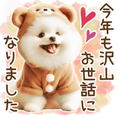 [LINEスタンプ] 毎日使える思いやりのカラフルポメラニアン