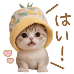 [LINEスタンプ] パイナップル帽 スコティッシュ猫 敬語