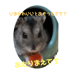 [LINEスタンプ] あたりまえでちすーちゃん！の画像（メイン）