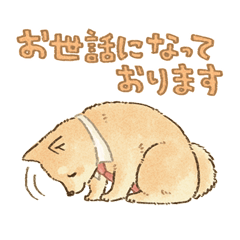 [LINEスタンプ] 可愛い柴犬のおしごとスタンプ