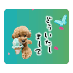 [LINEスタンプ] ペニ子☆スタンプ20241030