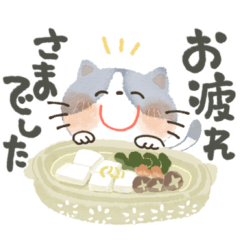 [LINEスタンプ] にっこり猫の前向き幸せ言葉♡冬年末年始