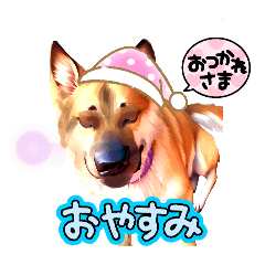 [LINEスタンプ] しぇぱしぇぱ