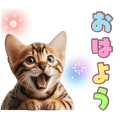 [LINEスタンプ] ベンガルキャットの子猫スタンプ