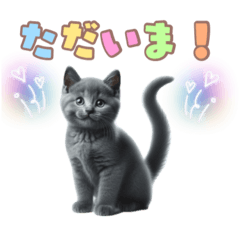 [LINEスタンプ] ロシアンブルーの子猫スタンプ