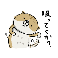 [LINEスタンプ] ネコのちょびスタンプ