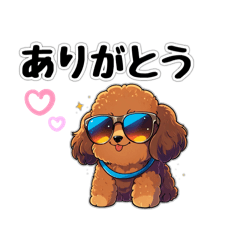 [LINEスタンプ] クール・プードル・チャットスタンプ