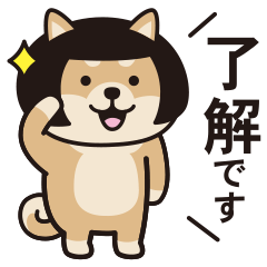 [LINEスタンプ] おかっぱ柴犬