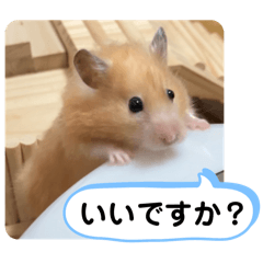 [LINEスタンプ] 可愛いこつぶの日常4