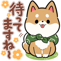 [LINEスタンプ] 毎日使える★しば犬スタンプ