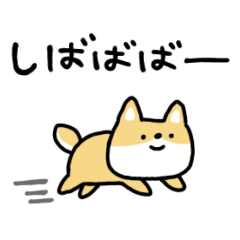 [LINEスタンプ] しょぼい柴犬