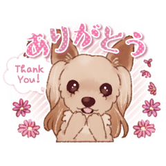 [LINEスタンプ] ヨーキー☆サラのスタンプ