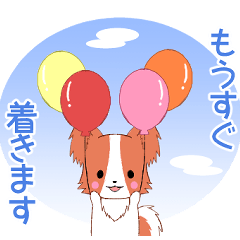 [LINEスタンプ] 飛び出す！ちびパピヨン14【待ち合わせ】