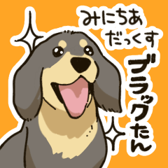 [LINEスタンプ] みにちあだっくす "ブラックたん"