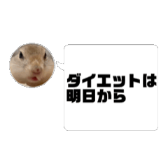 [LINEスタンプ] 喋るリチャードソンジリス