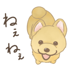 [LINEスタンプ] 我が家へようこそ！保護犬支援スタンプ