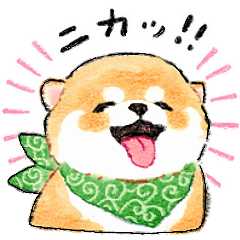 [LINEスタンプ] 赤ちゃんわんこたち！2 (色んな犬種)