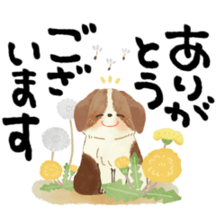 [LINEスタンプ] 毎日つかえる♡にっこり犬と筆文字スタンプ