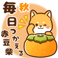 [LINEスタンプ] 赤豆柴 きなこ♡敬語毎日使える 秋ver