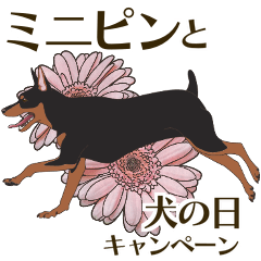 [LINEスタンプ] ミニピンと犬の日キャンペーン（bt）