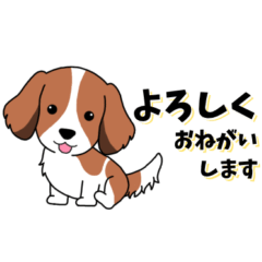 [LINEスタンプ] 背景動く‼犬スタンプ＃5『コイケル』