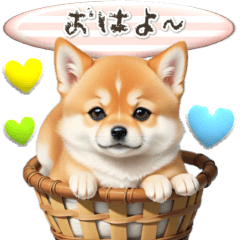 [LINEスタンプ] 【BIG】豆柴♡ふきだし 毎日使える