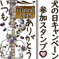 [LINEスタンプ] 【Big】シーズー犬『よく使う言葉』