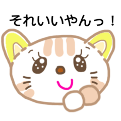 [LINEスタンプ] かわいい♡ねこちゃん 博多弁日常会話