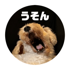[LINEスタンプ] マルとのくらし