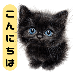 [LINEスタンプ] ふわふわ黒猫子猫のお返事