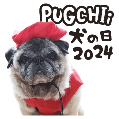 [LINEスタンプ] パグちぃ - 犬の日2024