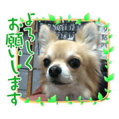 [LINEスタンプ] うちのこ❤️ Part2
