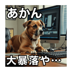 [LINEスタンプ] 写真で一言 1