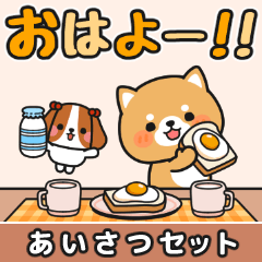 [LINEスタンプ] 毎日使えるあいさつ色々 #柴犬クッキー4