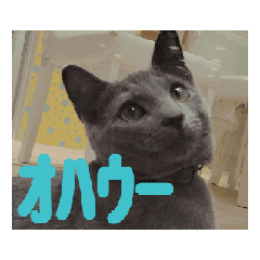 [LINEスタンプ] らぶりぃじあ①