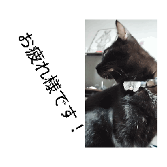 [LINEスタンプ] 禰豆子猫