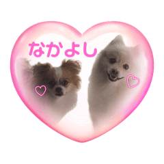 [LINEスタンプ] タロヨンVo.1