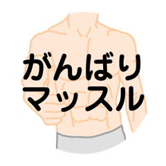 [LINEスタンプ] がんばりマッスル。マッスルスタンプ