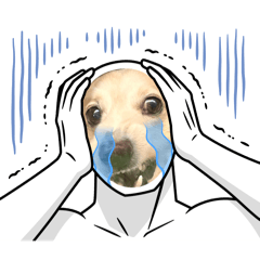 [LINEスタンプ] I'm カイル